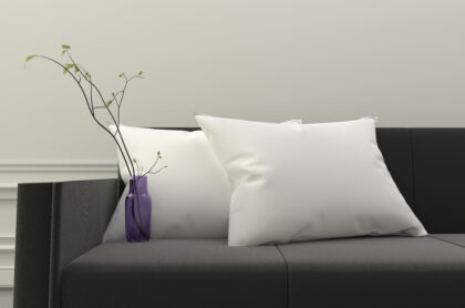 Rich Cotton Plain White Pillows